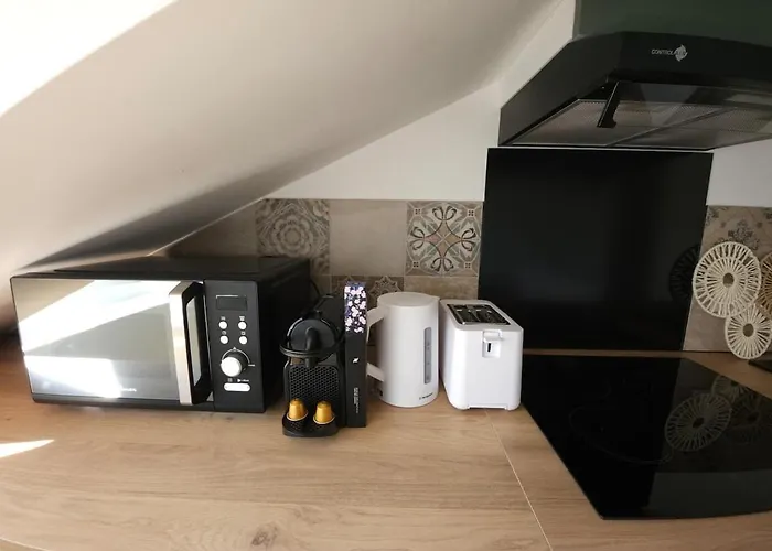 Appartement Le Perchoir Charm And Light Pau