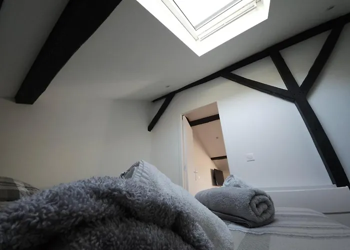 Appartement Le Perchoir Charm And Light Pau
