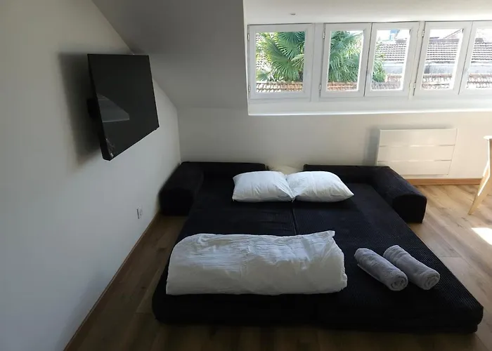 Appartement Le Perchoir Charm And Light Pau